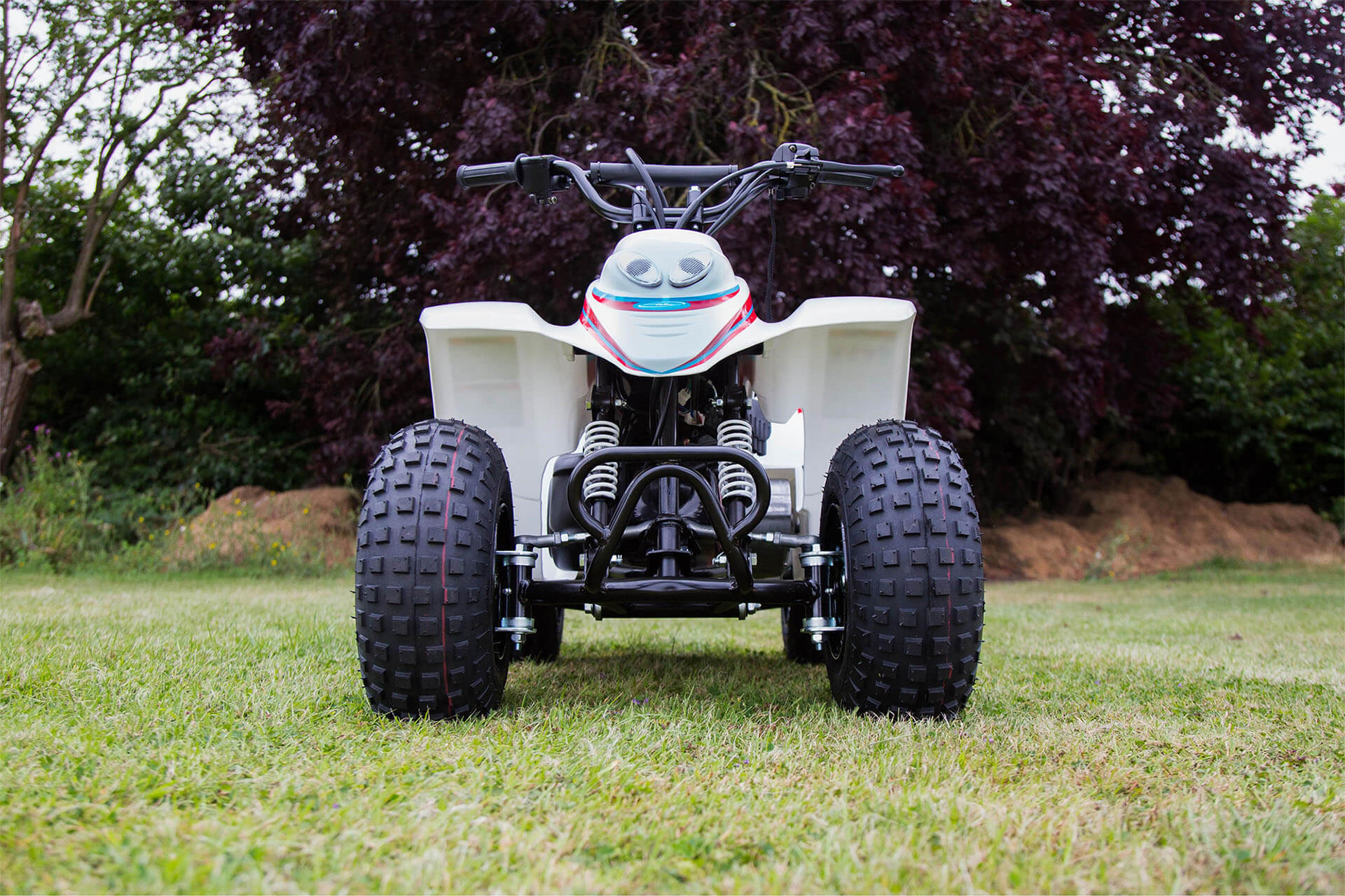 smc hornet 100cc