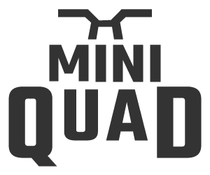 Mini Quad Bikes