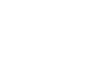 Mini Quad Bikes