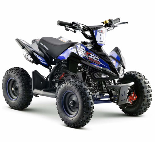 Toxic Mini Quad Bike 50cc in Blue