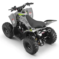 RXR-110-Quad-Footwells RXR-110-Quad-Footwells